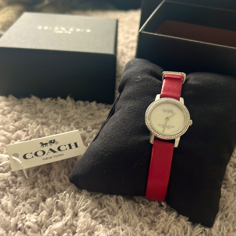 COACH Audrey stainless steel 22mm watch with crystals and mother of pearl dial